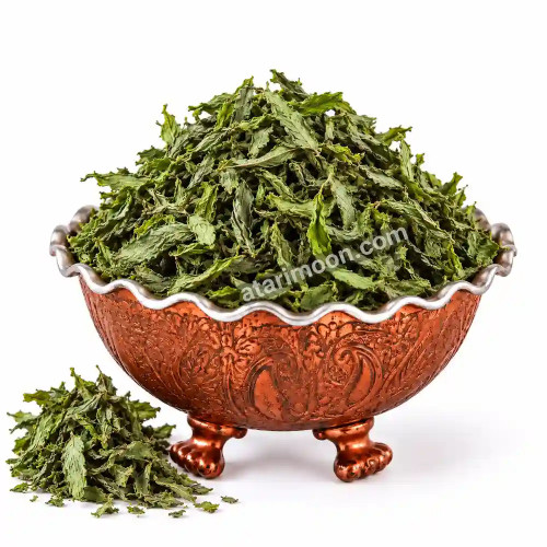 نعناع
