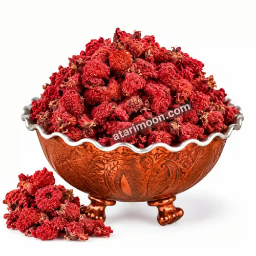 گلنار فارسی